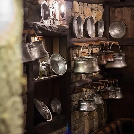 斯特诺皮里尼扎家庭酒 酒店 奥雷沙克